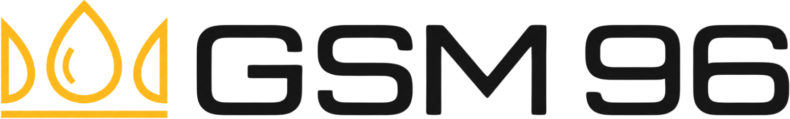 gsm96-2-1